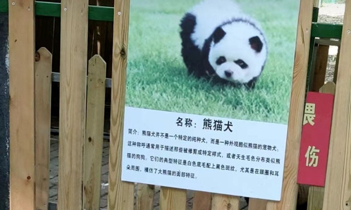 Pandamonium en el zoológico chino