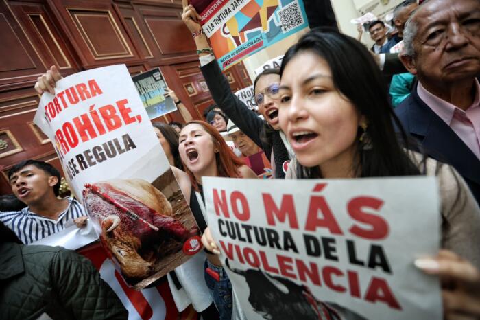 El martes continúa debate contra corrida de toros 1 9 mayo, 2024