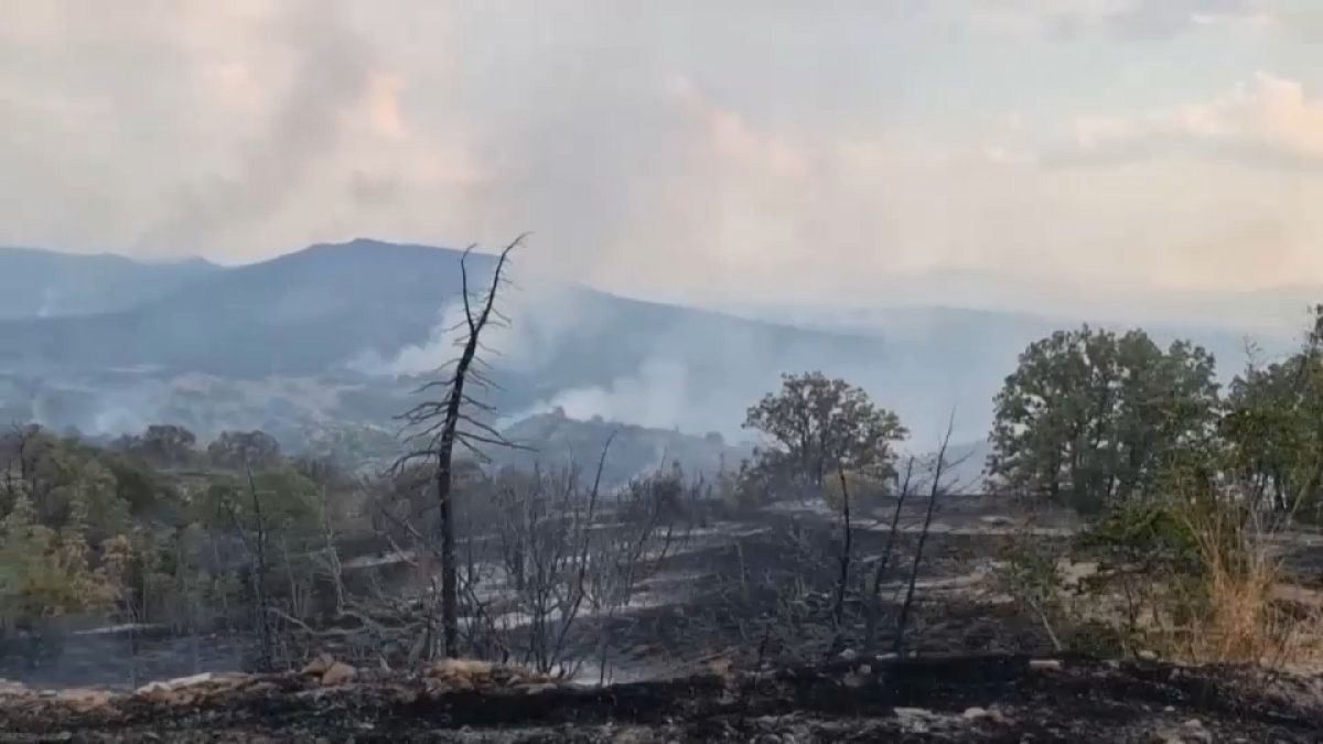 Los bomberos continúan combatiendo los incendios en Portugal, Macedonia del Norte y Bulgaria