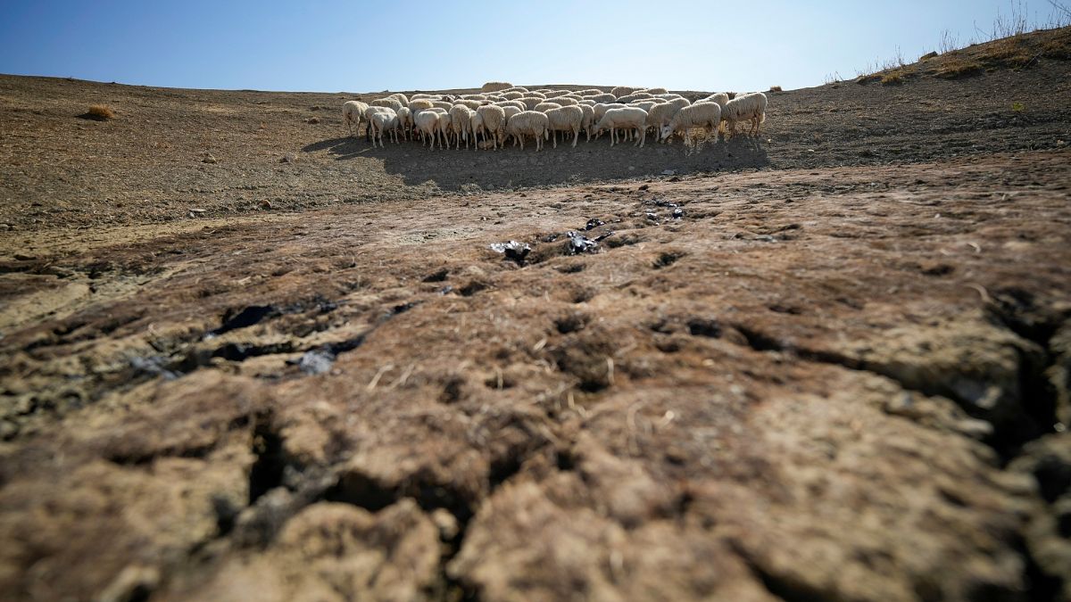 Descubren una reserva de agua oculta con el doble del tamaño del lago Ness en Sicilia, afectada por la sequía