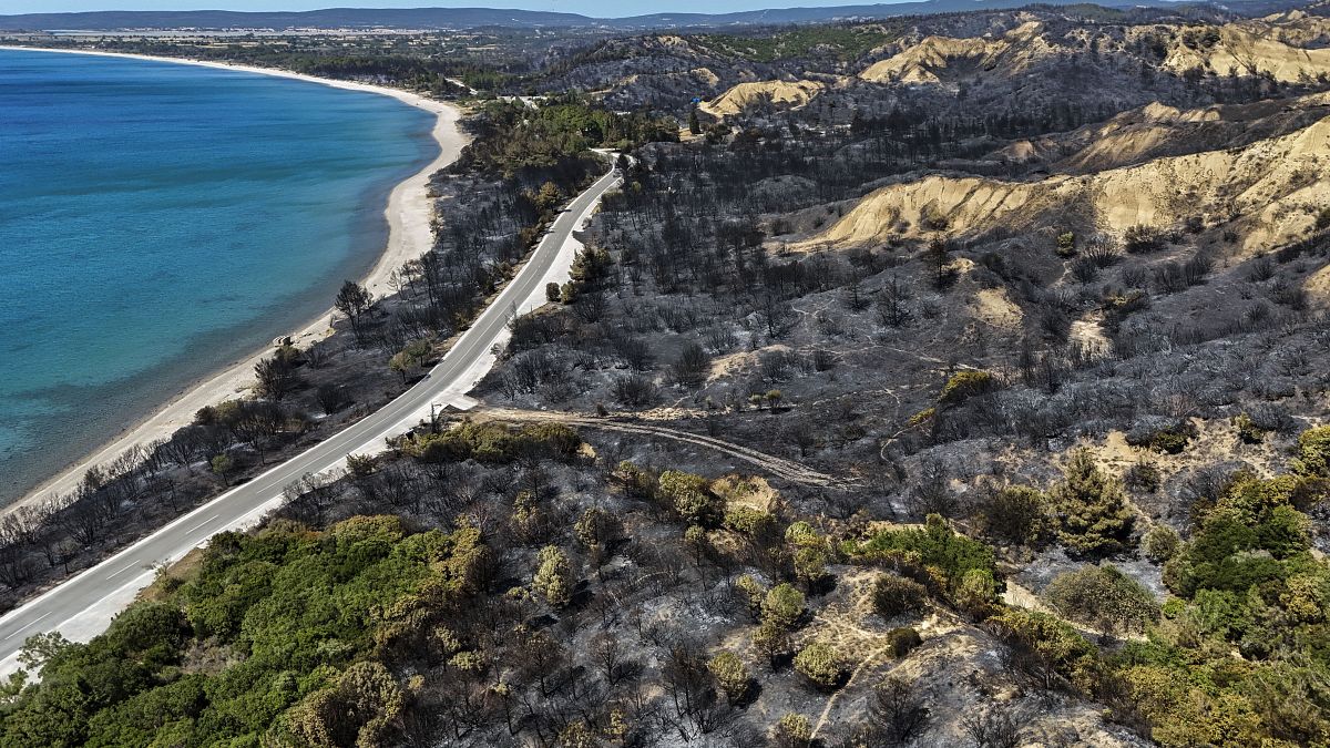 La mayoría de los incendios forestales en el oeste de Turquía están contenidos, pero cinco grandes incendios siguen activos, dice el ministro