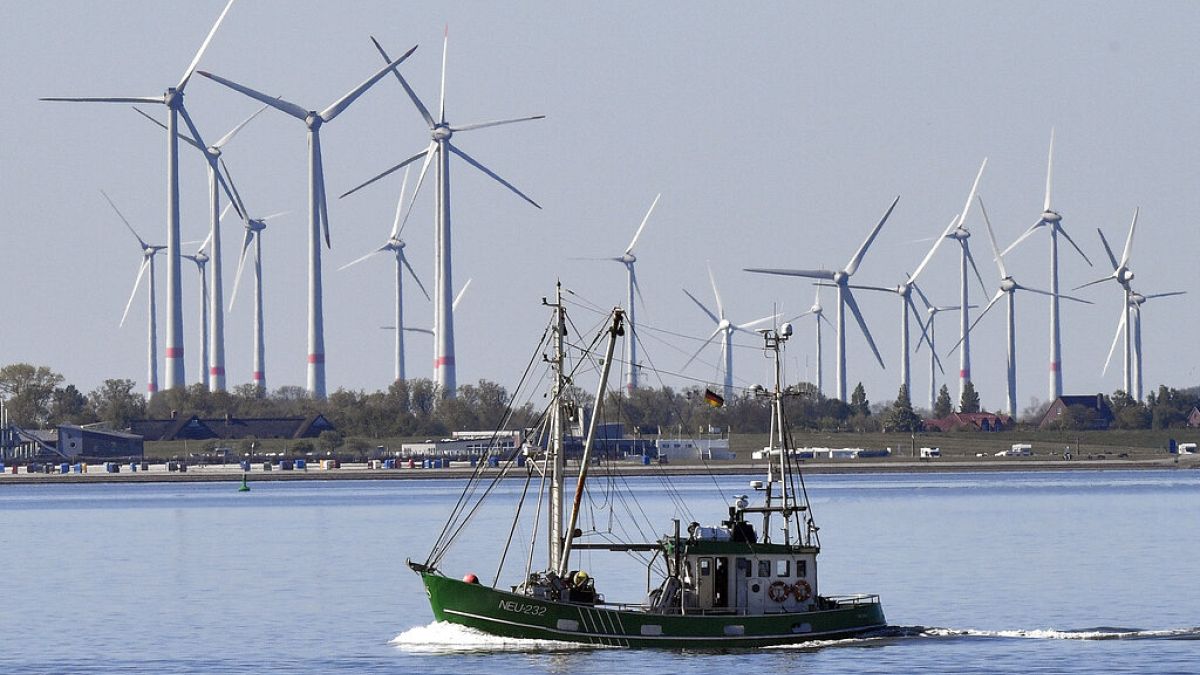 Los proveedores se asustan por el llamado de Draghi a disociar el precio de la electricidad verde del gas