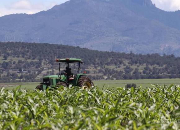 Agricultura e industria, responsables del 84% del consumo de agua en México