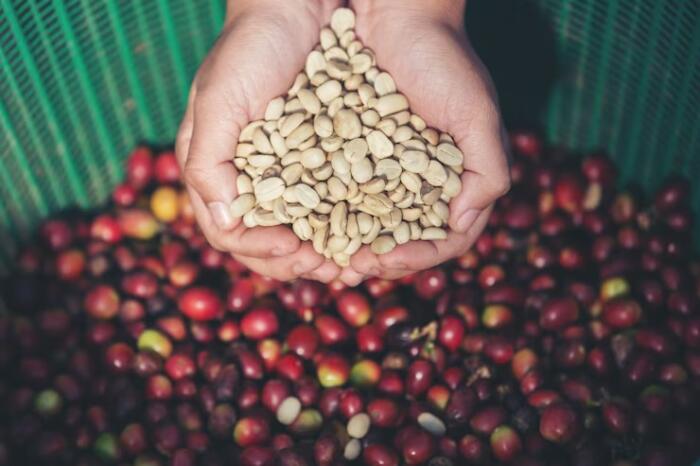 Mal clima en Brasil incrementa precios del café en Colombia