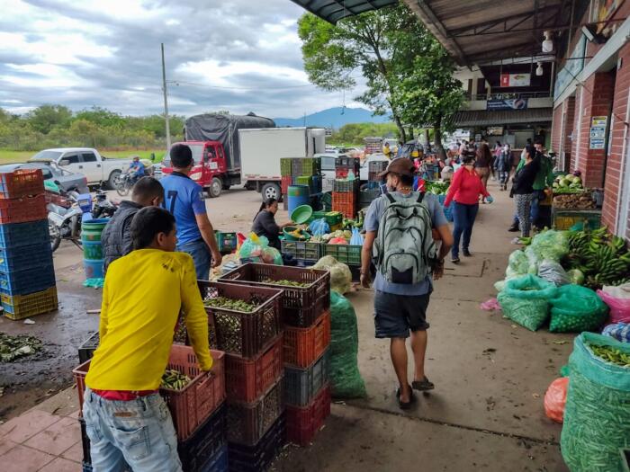 Cayó abastecimiento de alimentos en Surabastos