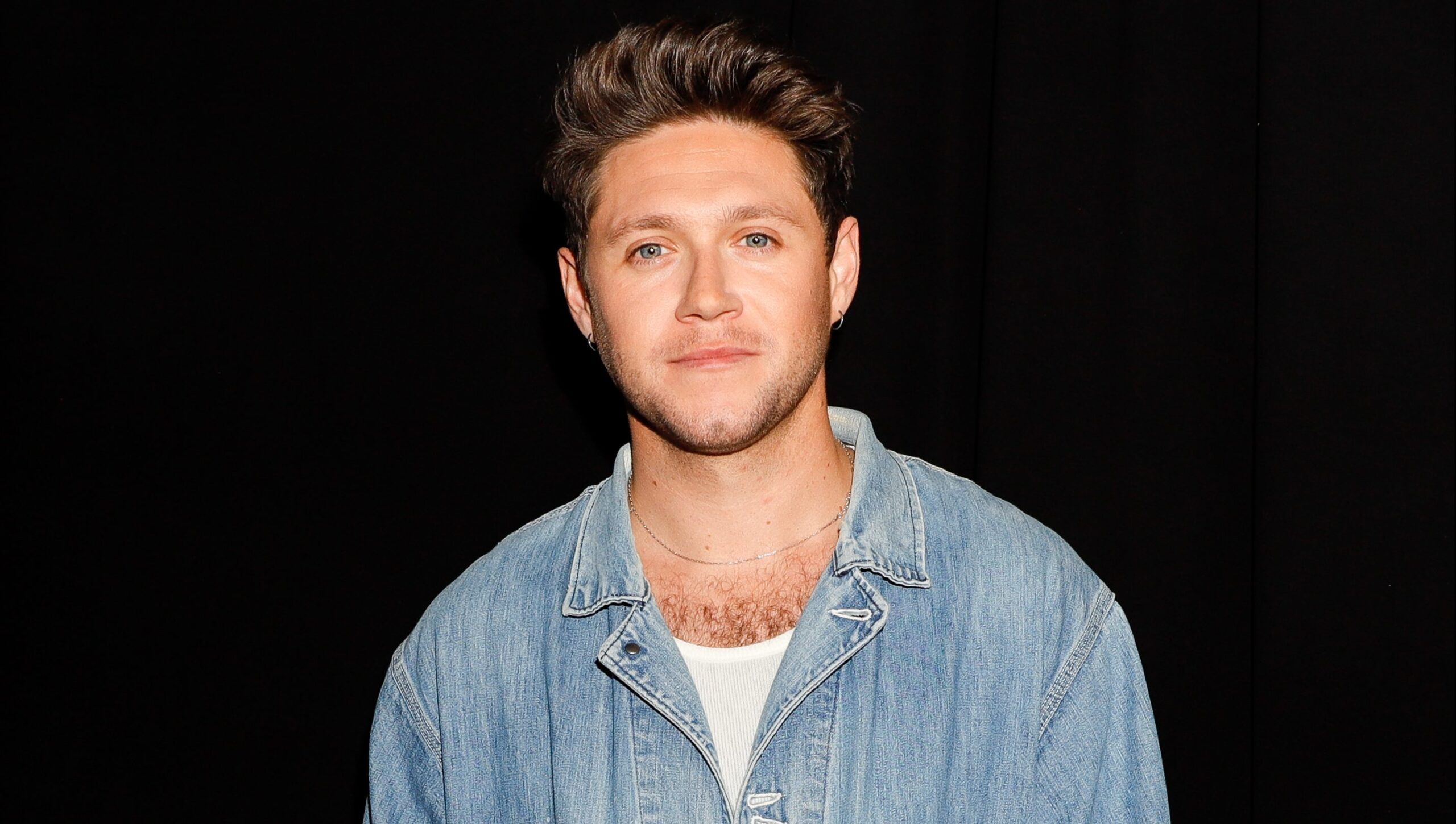 Valor neto de Niall Horan en 2024: cuánto dinero gana ahora