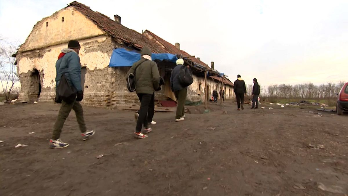 Las autoridades serbias desalojan un campamento de inmigrantes ilegales en la frontera con Hungría