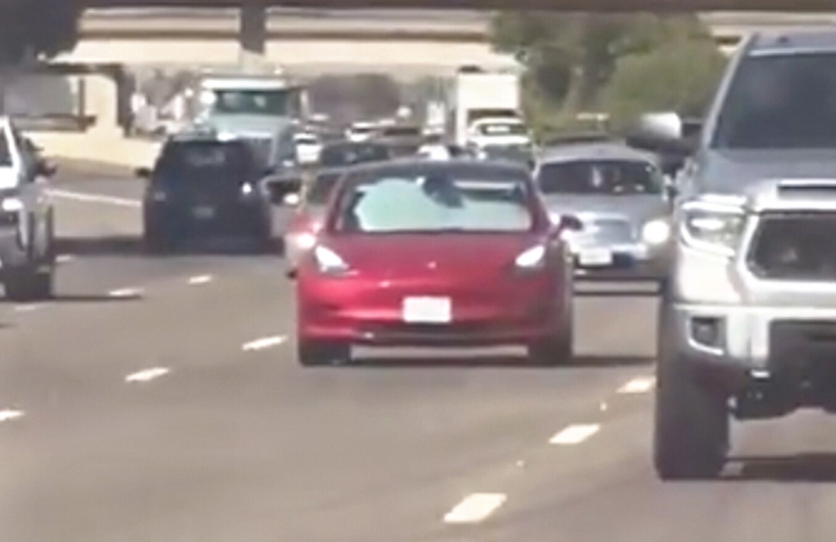 Sorpresa en la autopista Tesla: escenas locas en un truco con sombrilla en EE. UU.