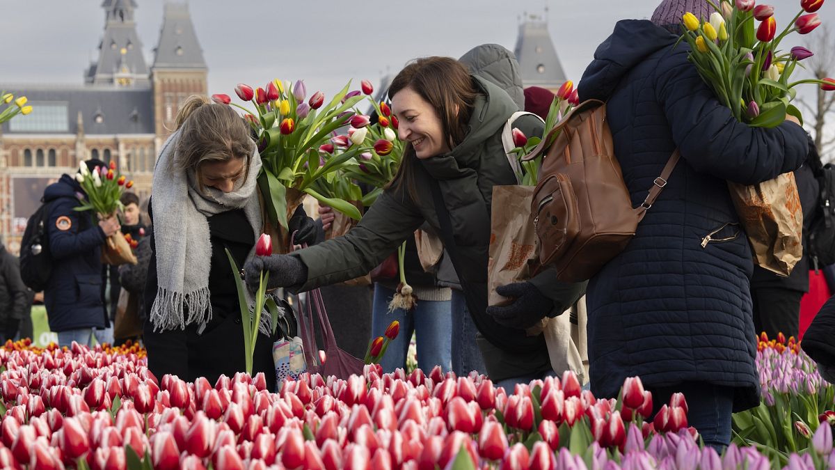 ¿A dónde se han ido todas las flores? Los controles fronterizos del Reino Unido frenan el suministro