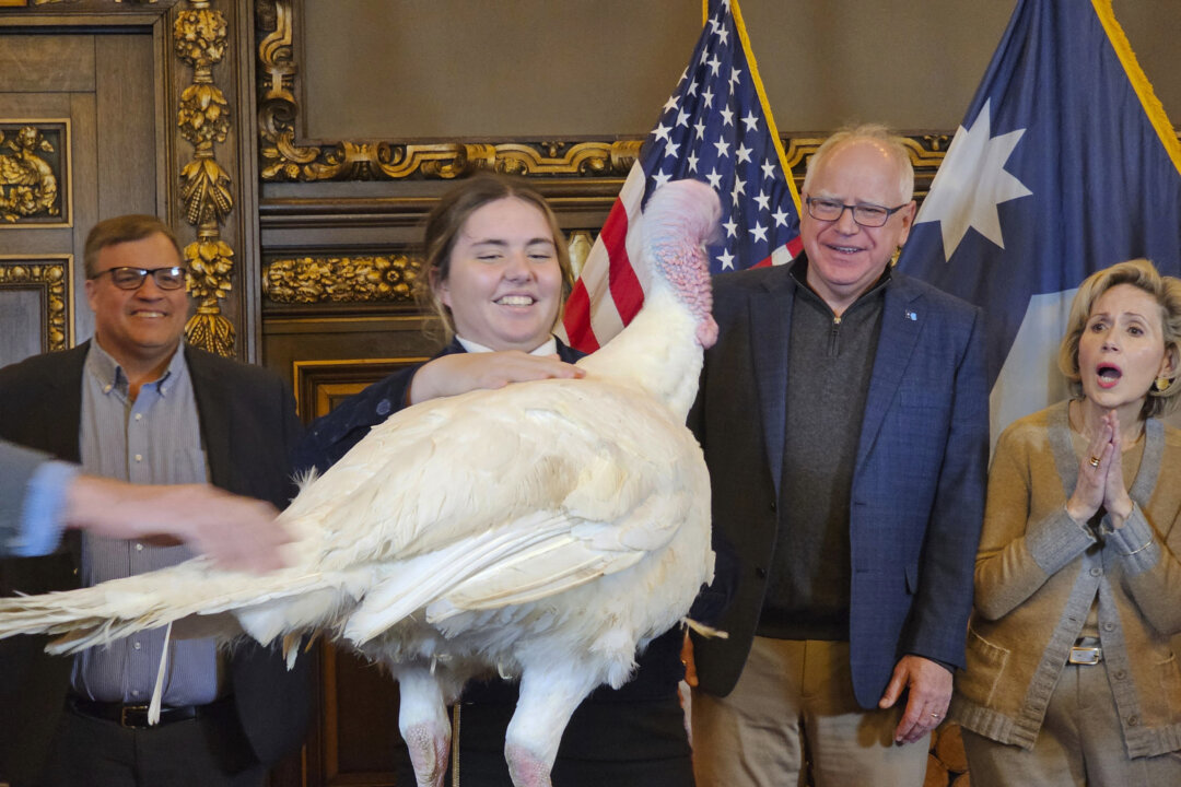 Tim Walz acepta la presentación de Turquía mientras regresa a sus deberes como gobernador de Minnesota