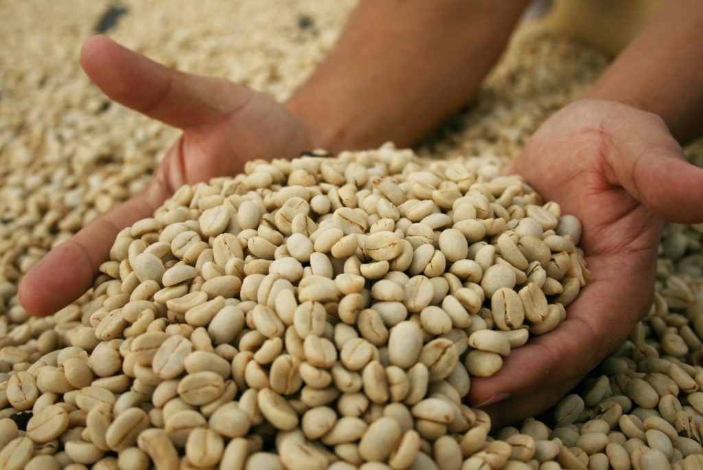 “Celebramos el precio internacional que ha alcanzado el café”